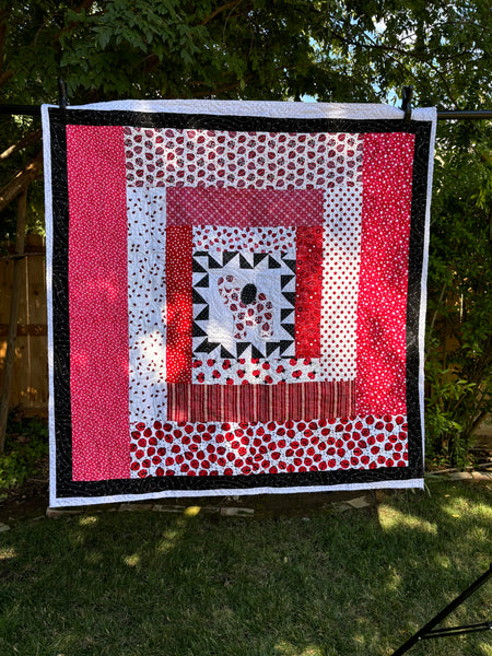 Red and Black Baby Elephant and Ladybug Quilt | Handmade Crib Quilt | 48"x50" Handmade Baby Shower Gift Baby Girl | Two-sided Girl Blanket