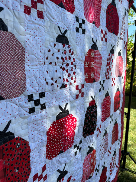 Red and Black Ladybugs Handmade Quilt | Two-sided Red Quilt | Red Bird Country Throw-size Quilt | 55"x64" Two sides Lap Blanket